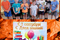 IMG-20240906-WA0046